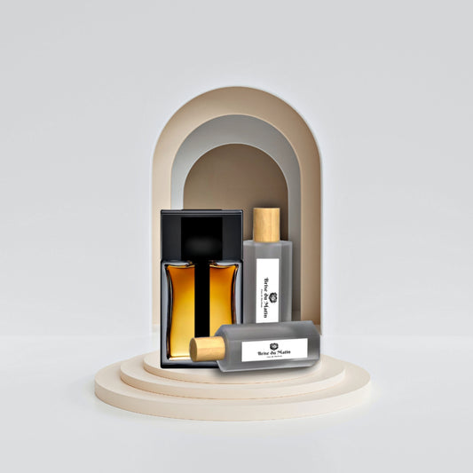 DR3 Inspired by Dior Homme Intense