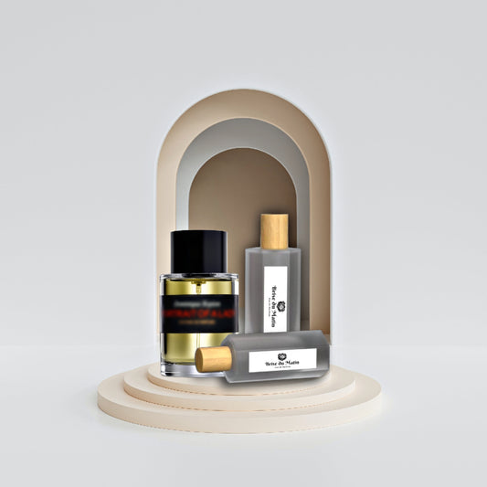 FM2 Inspired by Portrait of a Lady